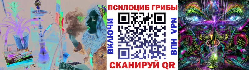 blacksprut как зайти Подпорожье Псилоцибиновые грибы GOLDEN TEACHER