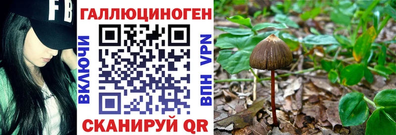 Галлюциногенные грибы MAGIC MUSHROOMS Подпорожье